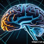 의식 연구와 철학적 논쟁 - A detailed digital illustration of a human brain viewed from above, highlighting the neural networks...